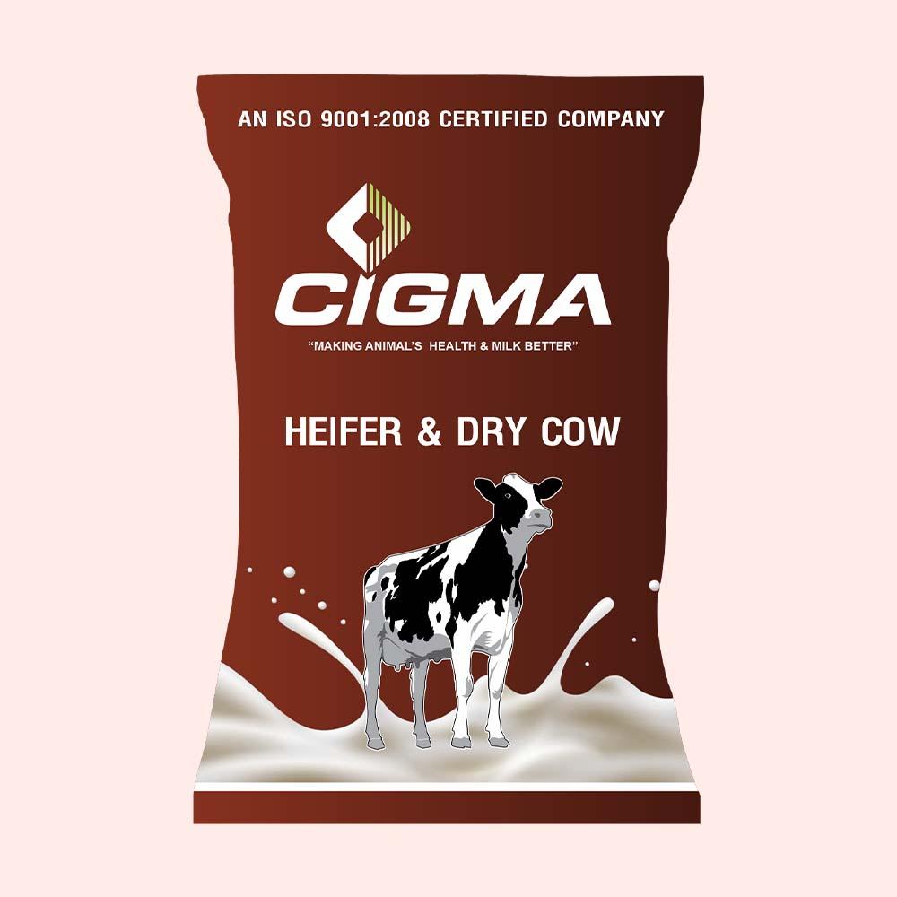 Cigma Dry Cow